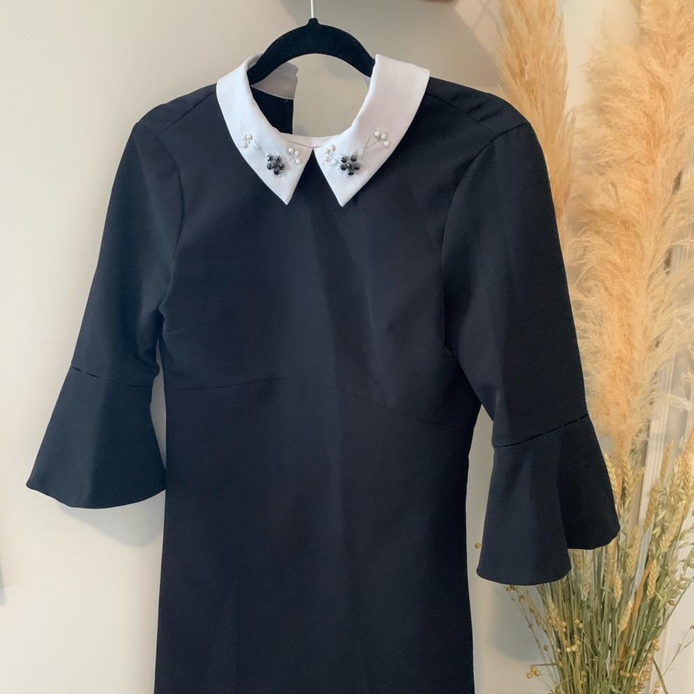 Zara Basics Black Dress with flutter sleeves